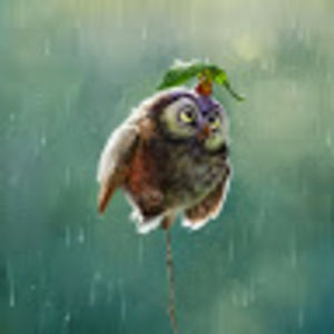 Meet your Posher, Cat